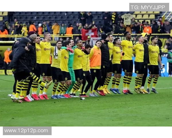 德甲球队：共克疫情，迎接复苏挑战